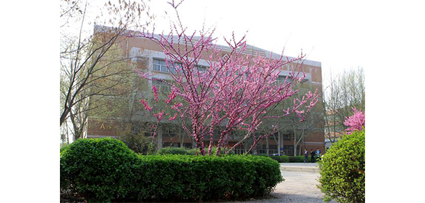 石家莊職業(yè)技術學院