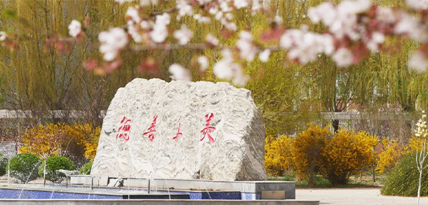 河北女子職業(yè)技術(shù)學(xué)院