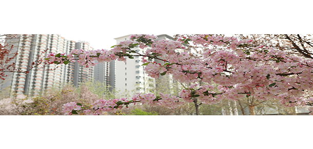 河北正定師范高等?？茖W(xué)校