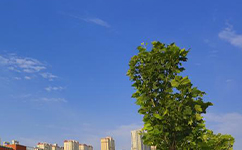 文化標(biāo)識(shí)：校名題寫 / 校徽設(shè)計(jì)