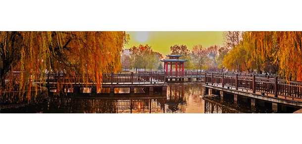 沈陽化工大學