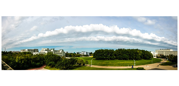 沈陽化工大學