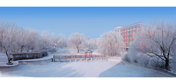 沈陽化工大學