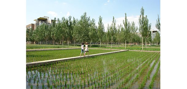 沈陽建筑大學