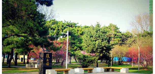 沈陽(yáng)農(nóng)業(yè)大學(xué)