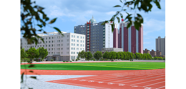 遼寧理工職業(yè)大學