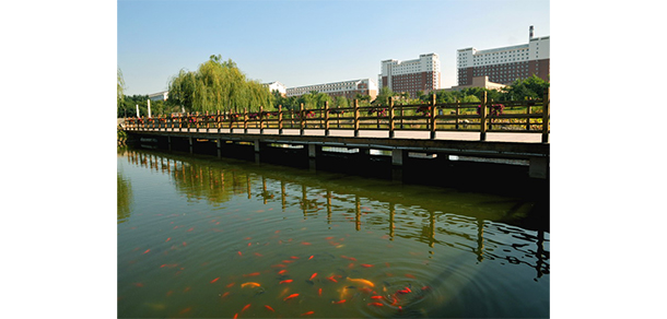 沈陽航空航天大學(xué)北方科技學(xué)院