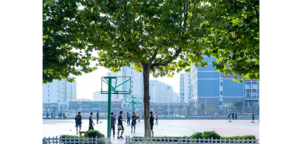 大連科技學院
