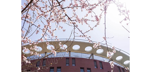 大連科技學院