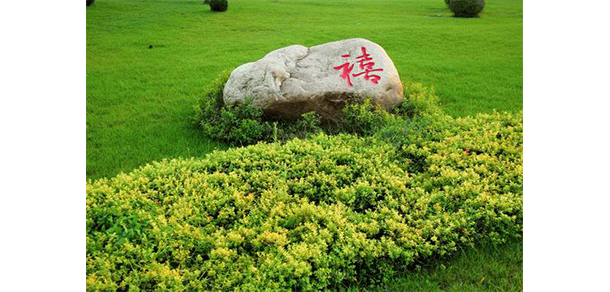 遼寧體育運(yùn)動(dòng)職業(yè)技術(shù)學(xué)院