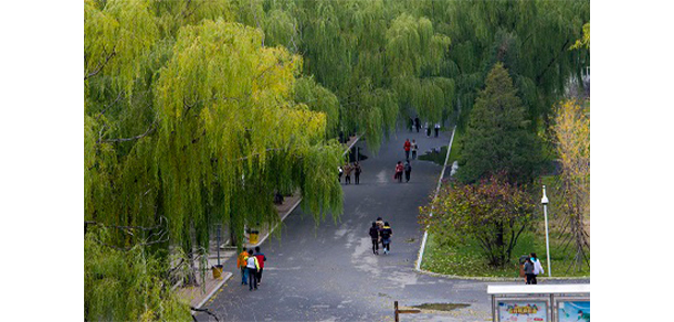 沈陽(yáng)職業(yè)技術(shù)學(xué)院