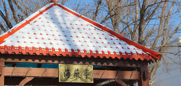 大連裝備制造職業(yè)技術(shù)學院 - 最美院校
