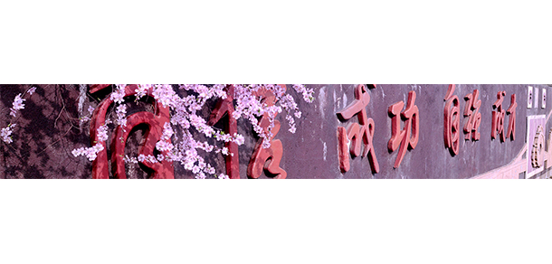 遼寧冶金職業(yè)技術(shù)學(xué)院