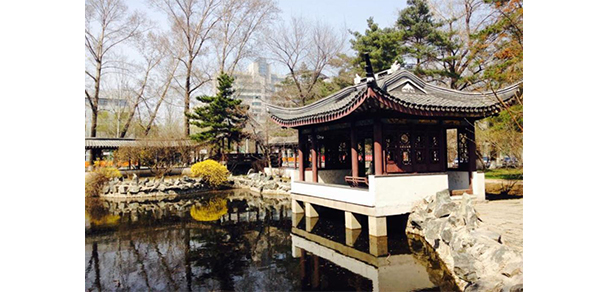我的大學(xué)-大學(xué)志