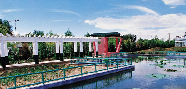 大慶師范學院