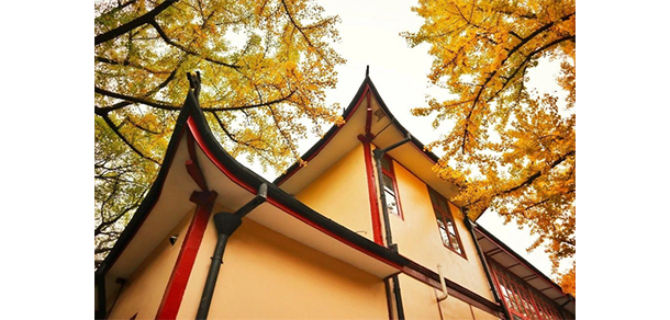 華東政法大學(xué)