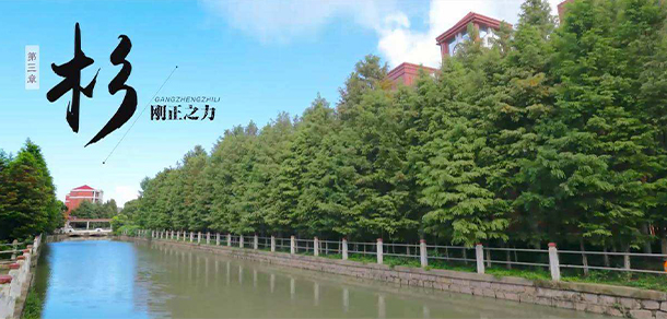上海杉達學院