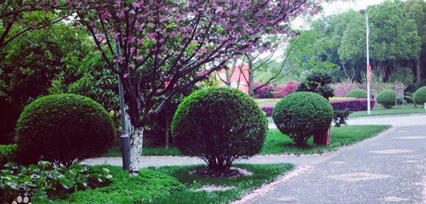 上海師范大學天華學院