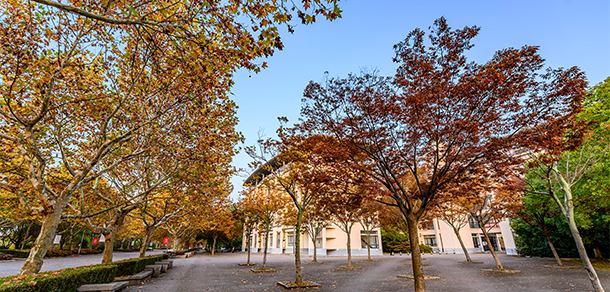東華大學(xué)