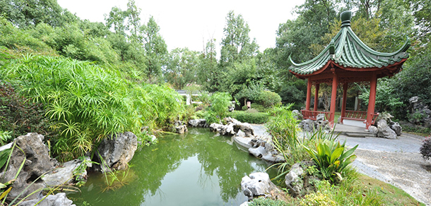 上海建設(shè)管理職業(yè)技術(shù)學院 - 最美大學